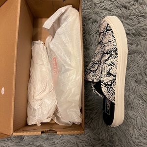 Van’s Sneakers